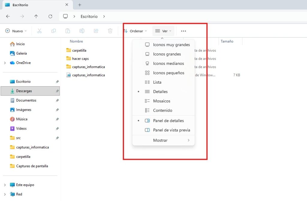 Menú Ver del Explorador de Windows 11 con opciones de iconos, detalles y paneles